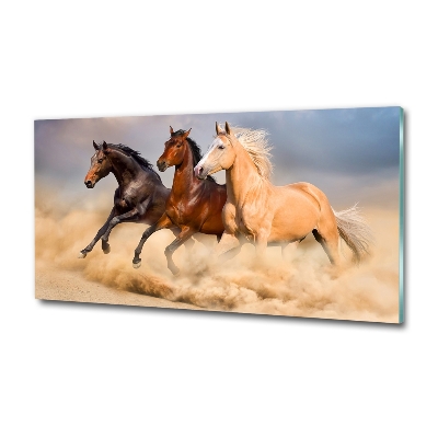 Tableau sur verre Chevaux de marche