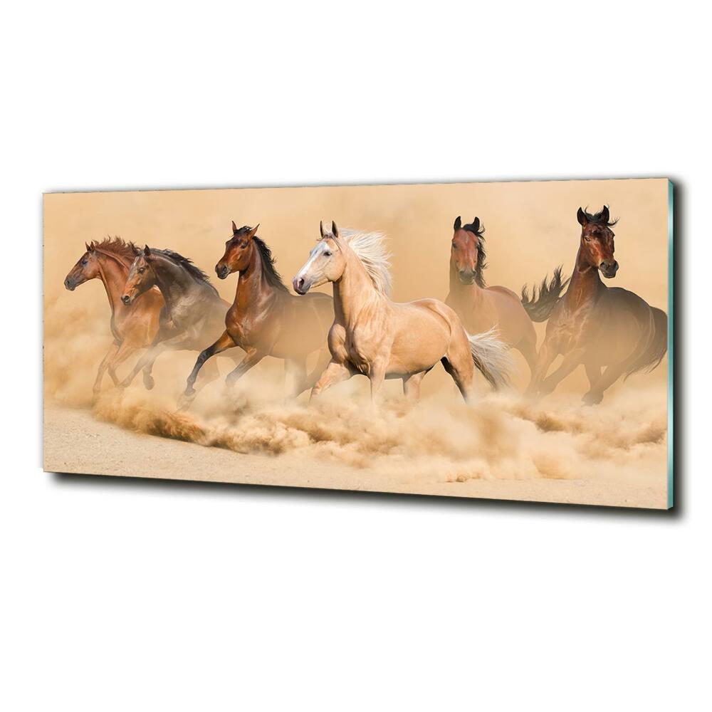 Tableau en verre Chevaux dans le désert