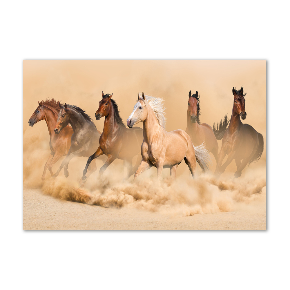 Tableau en verre Chevaux dans le désert