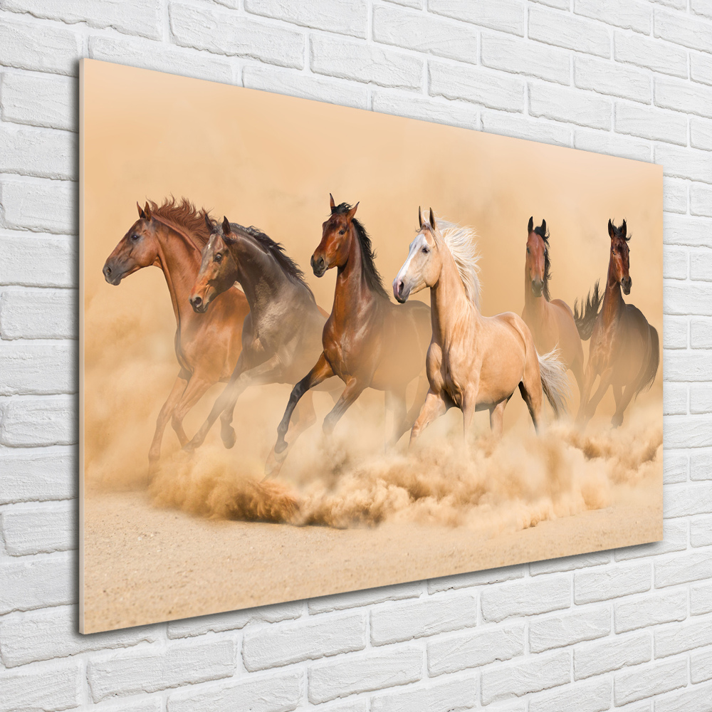 Tableau en verre Chevaux dans le désert