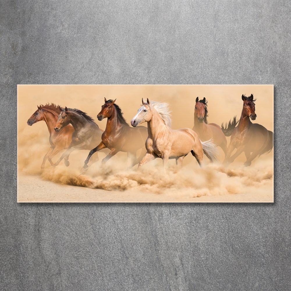 Tableau en verre Chevaux dans le désert