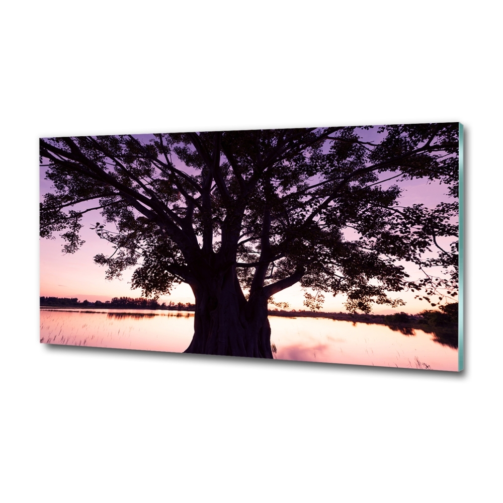 Tableau photo sur verre Arbre et lac