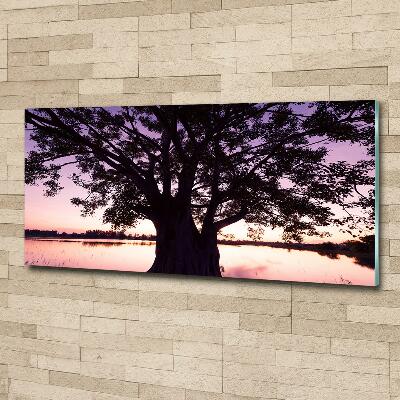 Tableau photo sur verre Arbre et lac