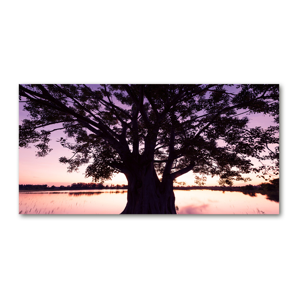 Tableau photo sur verre Arbre et lac