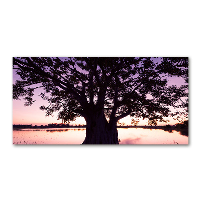 Tableau photo sur verre Arbre et lac