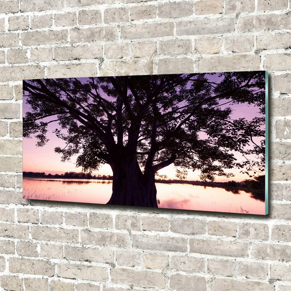 Tableau photo sur verre Arbre et lac