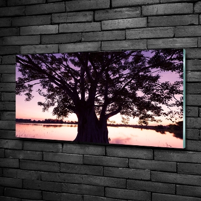 Tableau photo sur verre Arbre et lac