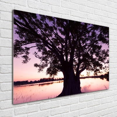 Tableau photo sur verre Arbre et lac