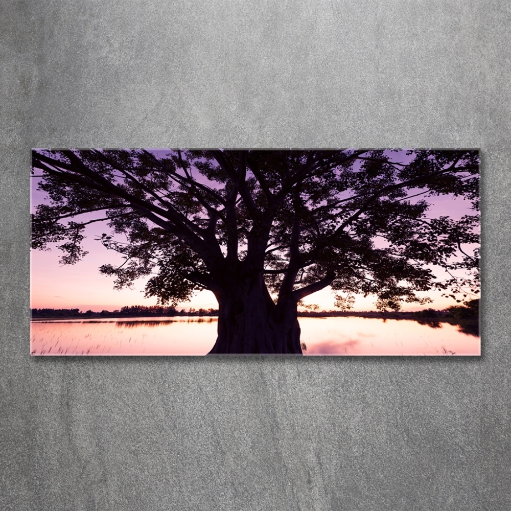 Tableau photo sur verre Arbre et lac