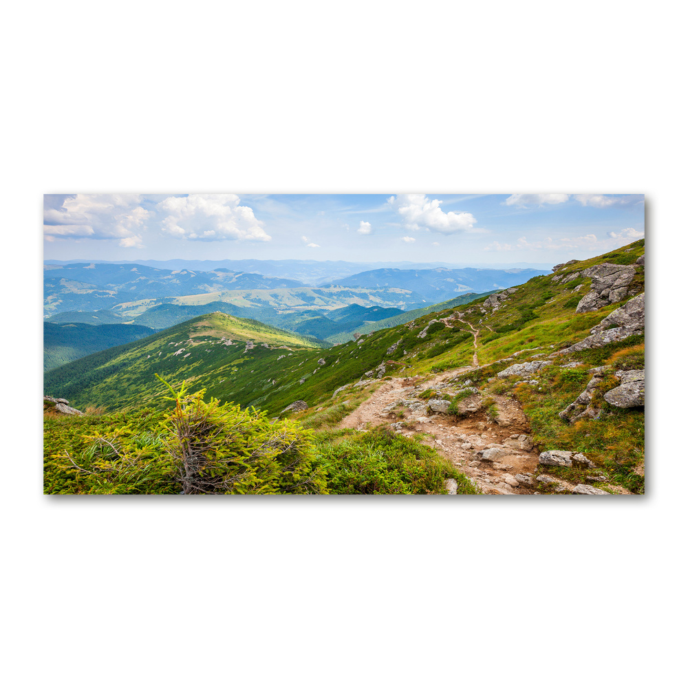 Tableau photo sur verre Collines vertes