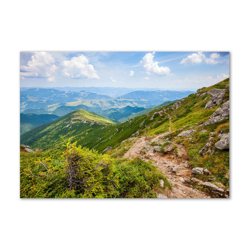 Tableau photo sur verre Collines vertes