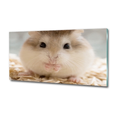 Tableau imprimé sur verre Hamster