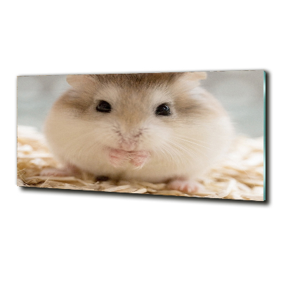 Tableau imprimé sur verre Hamster