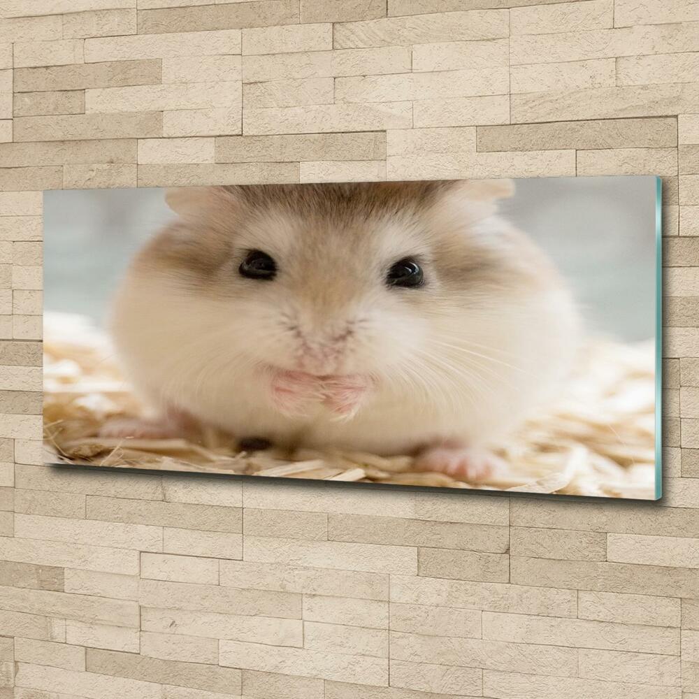 Tableau imprimé sur verre Hamster