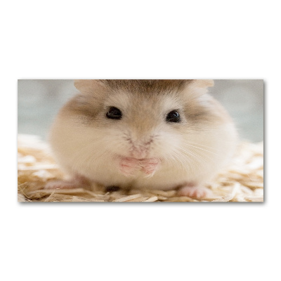 Tableau imprimé sur verre Hamster