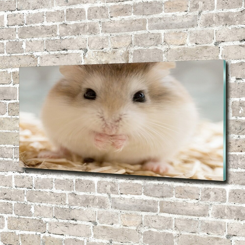 Tableau imprimé sur verre Hamster