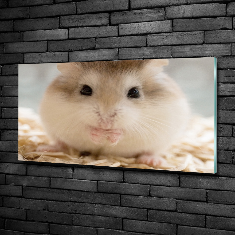 Tableau imprimé sur verre Hamster