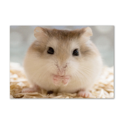 Tableau imprimé sur verre Hamster