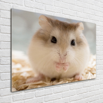 Tableau imprimé sur verre Hamster