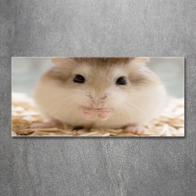 Tableau imprimé sur verre Hamster