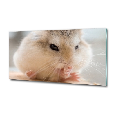 Tableau verre imprimé Hamster