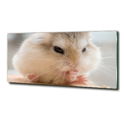 Tableau verre imprimé Hamster