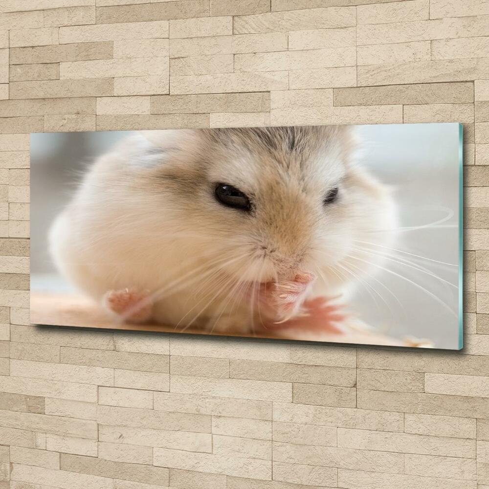 Tableau verre imprimé Hamster