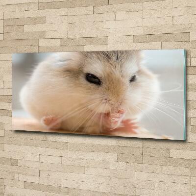 Tableau verre imprimé Hamster