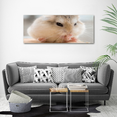 Tableau verre imprimé Hamster