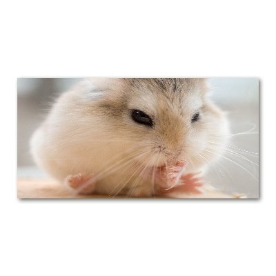 Tableau verre imprimé Hamster