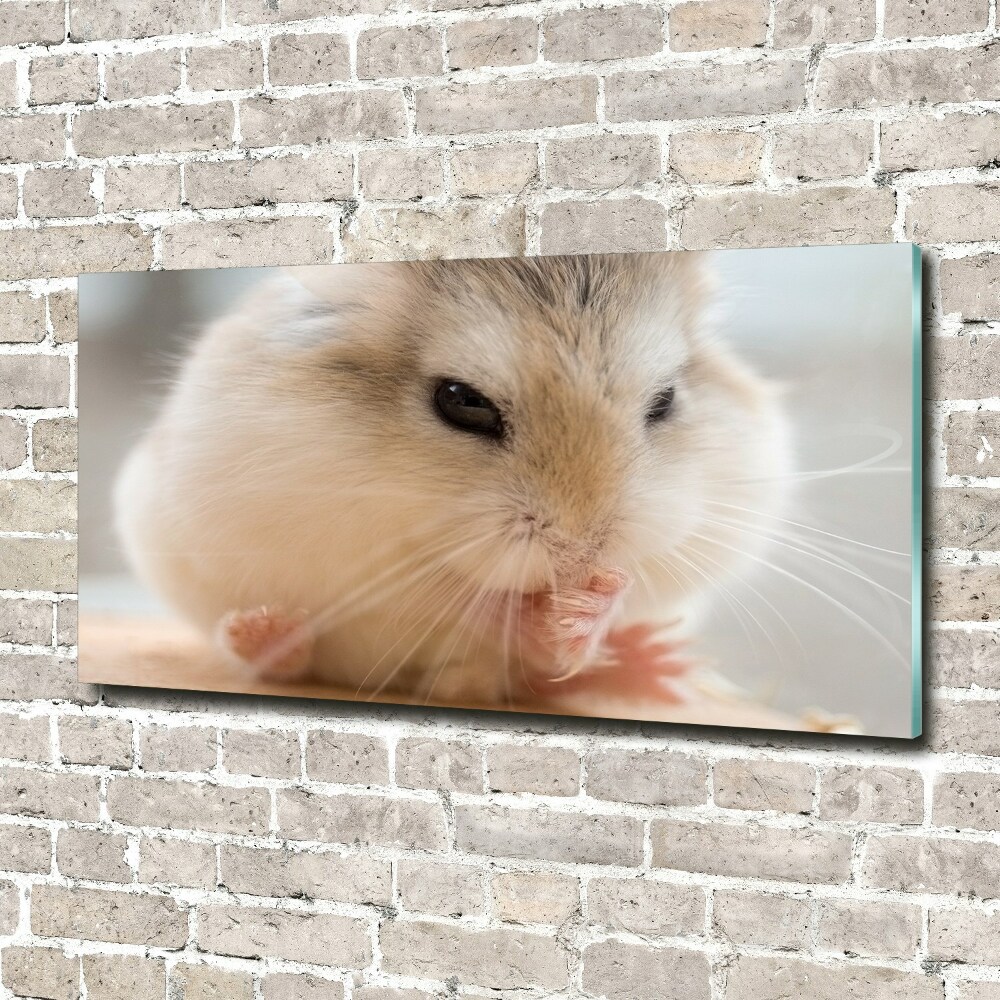 Tableau verre imprimé Hamster