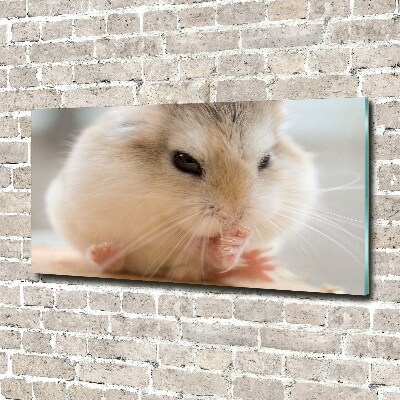 Tableau verre imprimé Hamster