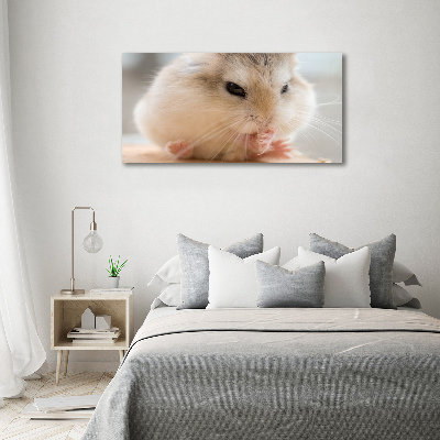 Tableau verre imprimé Hamster