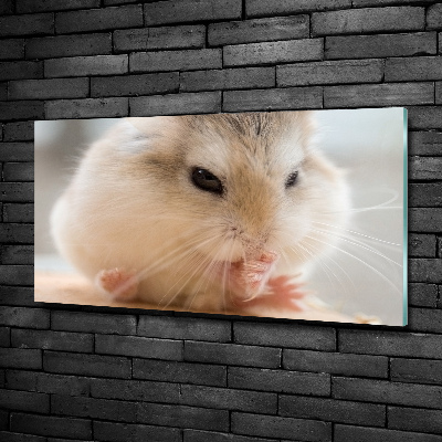 Tableau verre imprimé Hamster