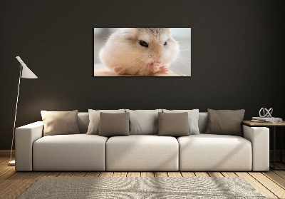 Tableau verre imprimé Hamster