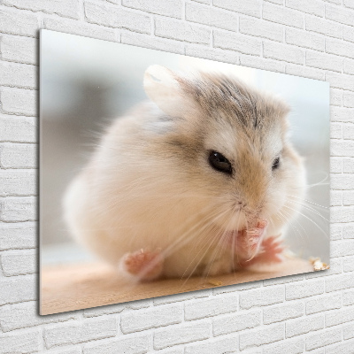 Tableau verre imprimé Hamster