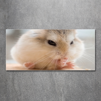 Tableau verre imprimé Hamster