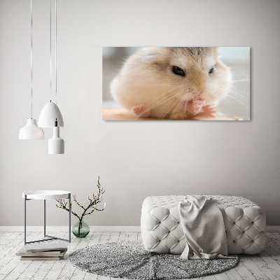 Tableau verre imprimé Hamster