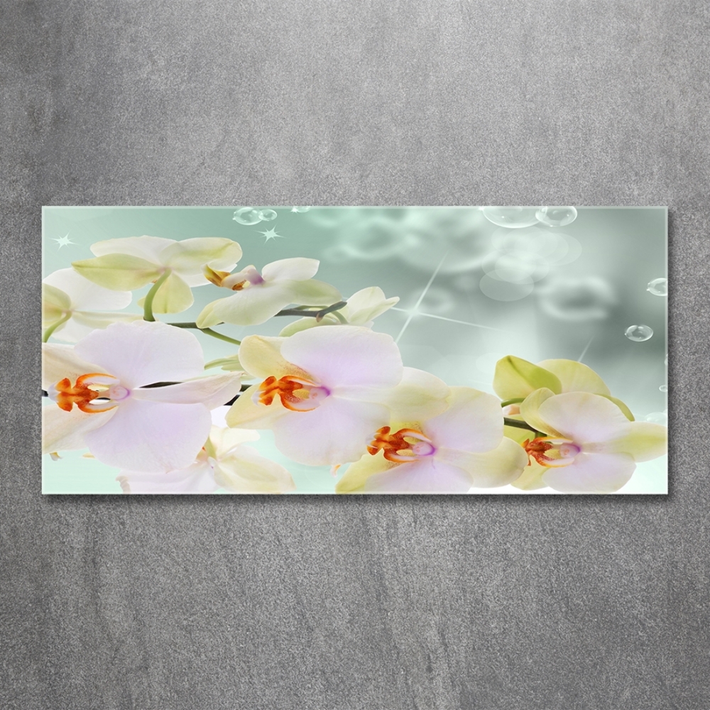 Tableau sur verre Orchidée blanche