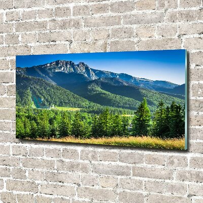 Tableau photo sur verre Saut à ski dans les Tatras