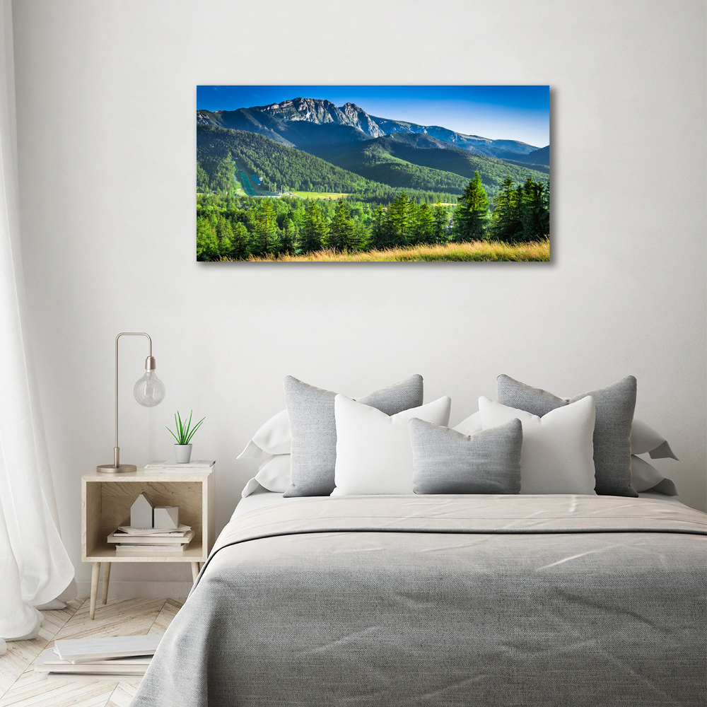 Tableau photo sur verre Saut à ski dans les Tatras