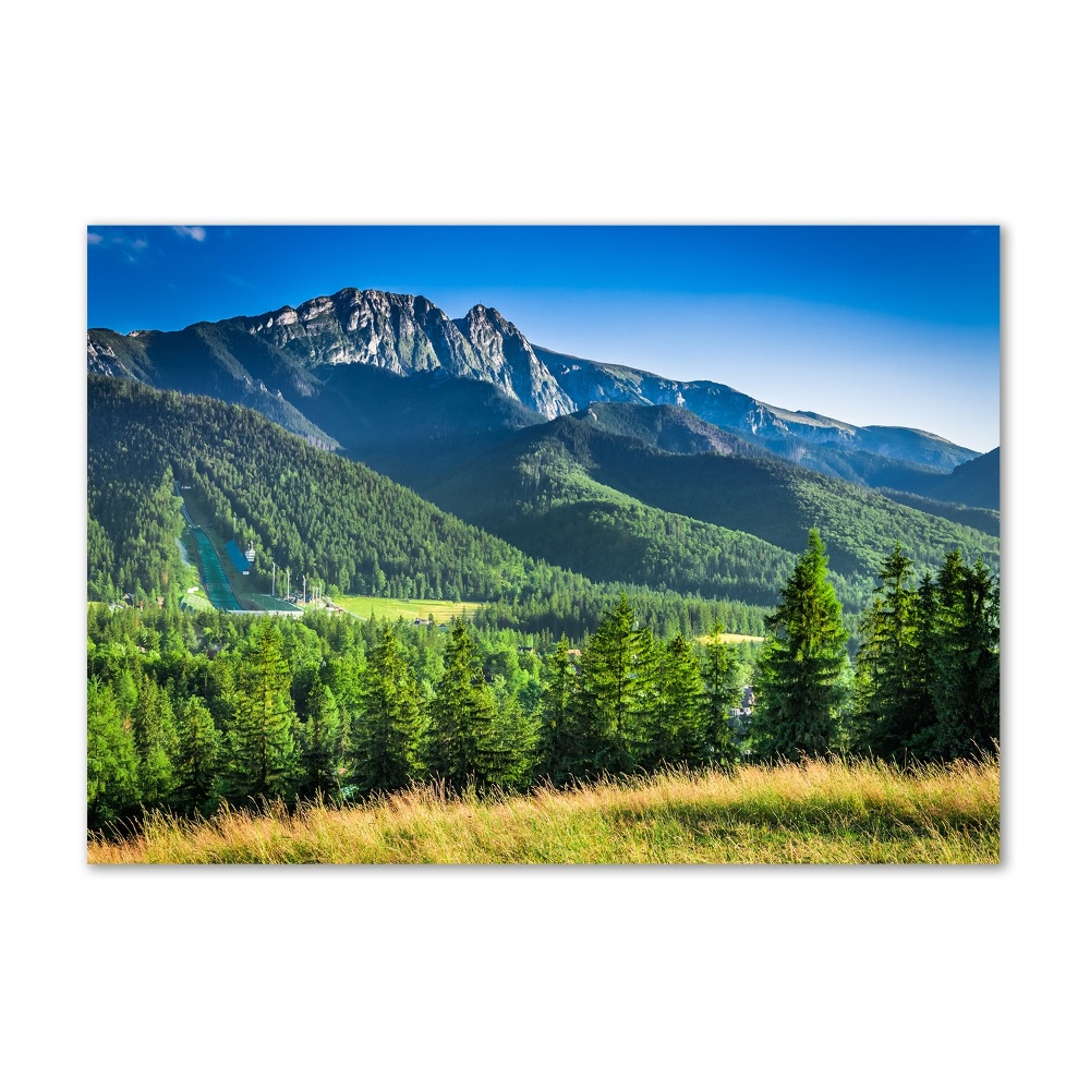 Tableau photo sur verre Saut à ski dans les Tatras