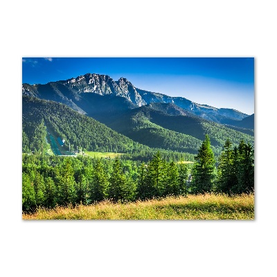 Tableau photo sur verre Saut à ski dans les Tatras