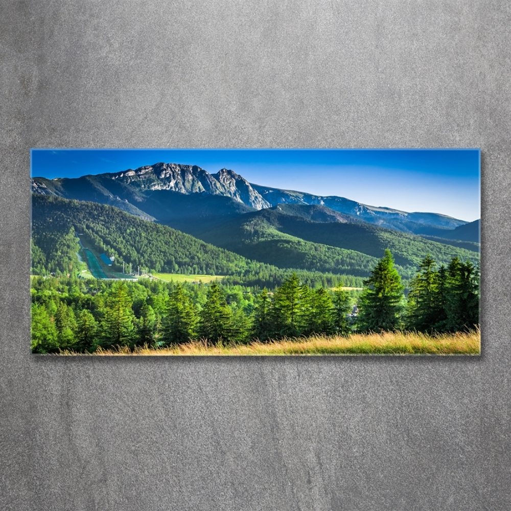 Tableau photo sur verre Saut à ski dans les Tatras