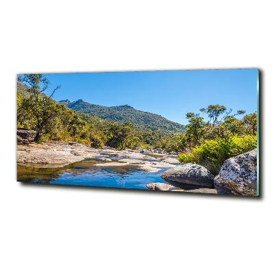 Tableau imprimé sur verre Rivière dans la forêt