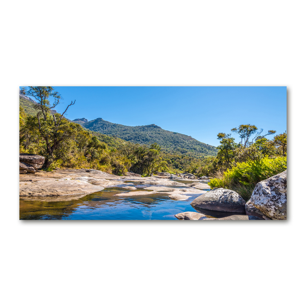 Tableau imprimé sur verre Rivière dans la forêt