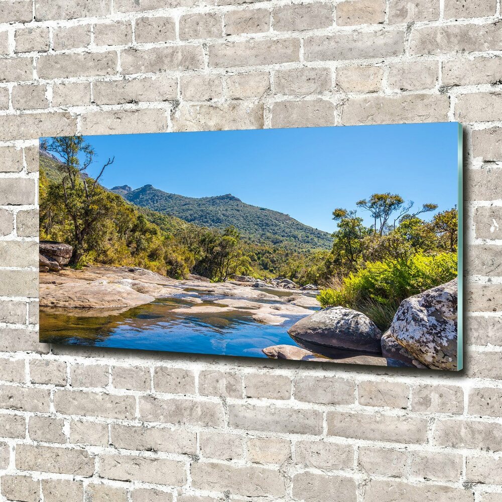 Tableau imprimé sur verre Rivière dans la forêt