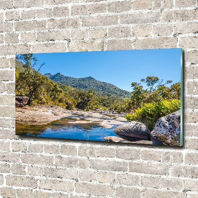 Tableau imprimé sur verre Rivière dans la forêt