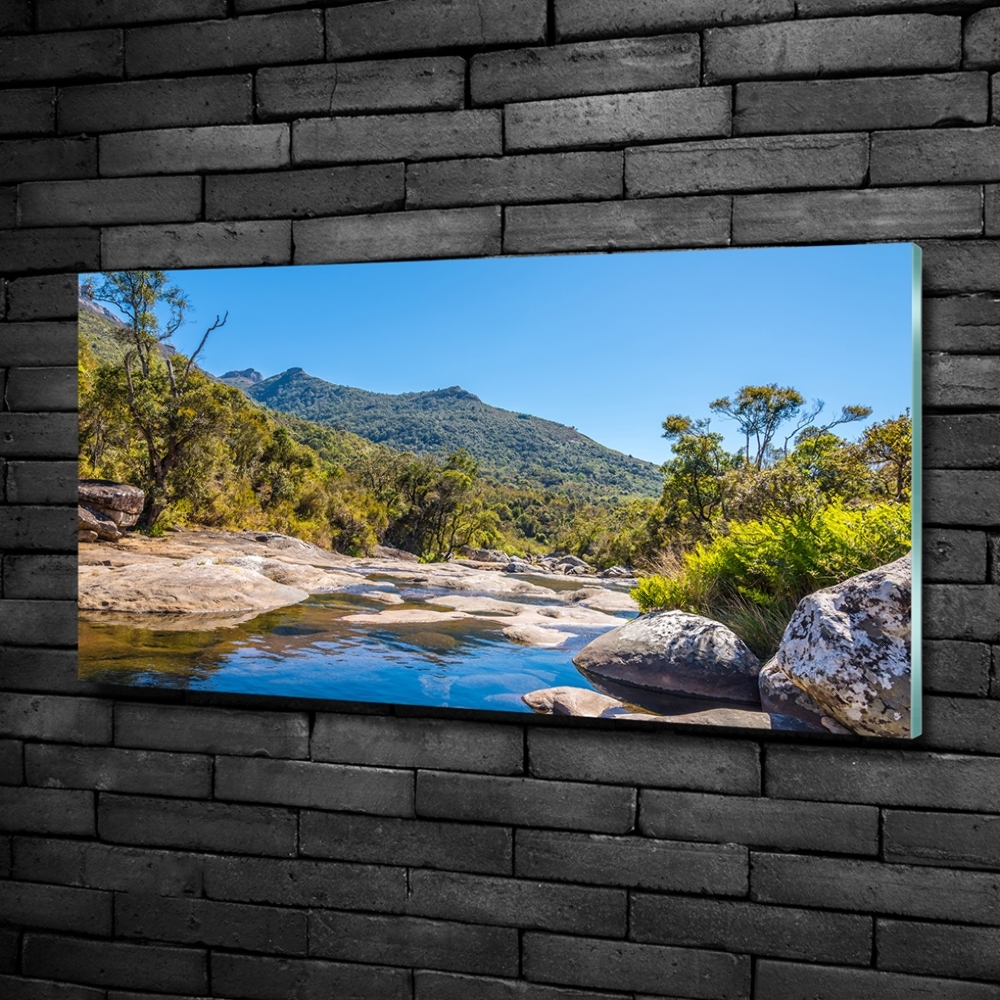 Tableau imprimé sur verre Rivière dans la forêt