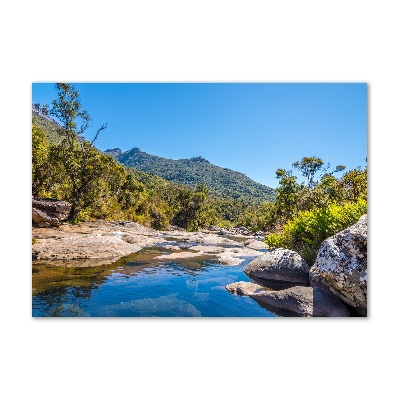 Tableau imprimé sur verre Rivière dans la forêt